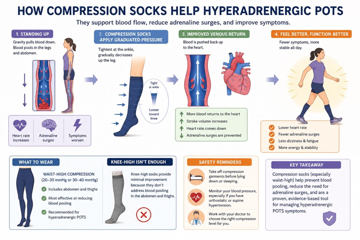 Medical infographic showing how compression garments help people with hyperadrenergic POTS by reducing blood pooling in the legs and abdomen, improving blood return to the heart, lowering standing heart rate, reducing adrenaline surges, and improving symptoms such as dizziness, fatigue, and brain fog.